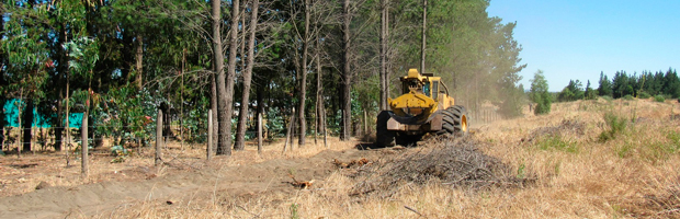 Conaf Construye Cortafuegos En Zonas De Interfaz De La Comuna De Yumbel